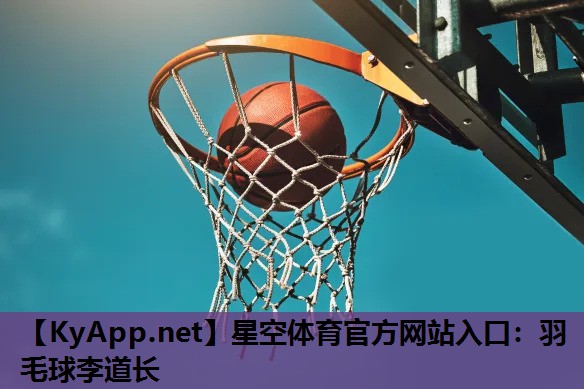 羽毛球李道长 羽毛球李道长